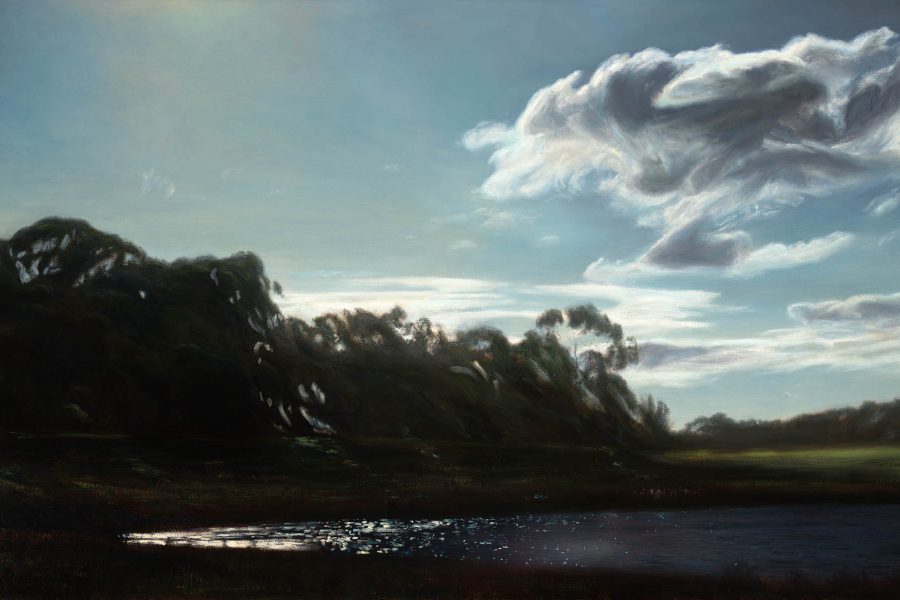 Paul Chizik - Boronia Sky. Oil on Linen 36 x 60 inches